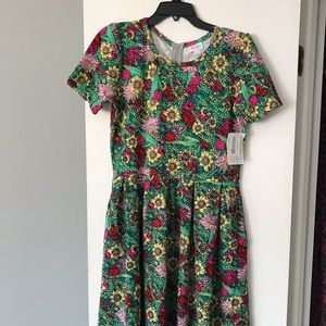 NWT LuLaRoe Amelia dress- size X large.